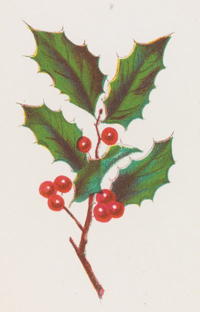 Holly, 1862. de Louis Prang