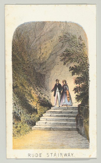 Rude Stairway, da série, Views in Central Park, New York, Parte 2, 1864. de Louis Prang