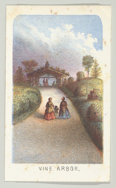 Vine Arbor, da série, Views in Central Park, New York, Parte 3, 1864. de Louis Prang