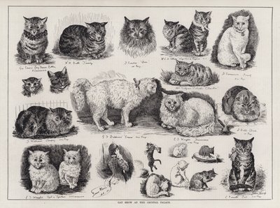 Show do Gato no Palácio de Cristal (gravura) de Louis Wain