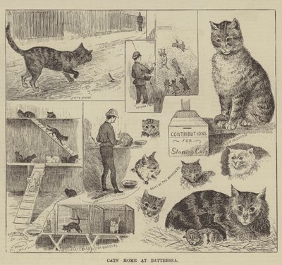 Casa dos gatos em Battersea de Louis Wain