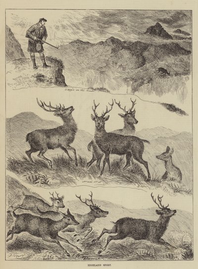 Highland Sport de Louis Wain