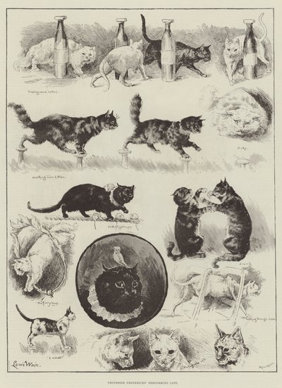 Professor Fredericks &39;Performing Cats de Louis Wain