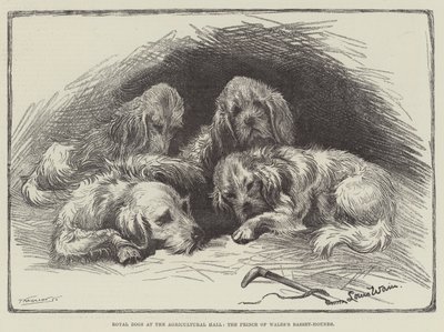 Cães Reais no Salão Agrícola, os Basset-Hounds do Príncipe de Gales de Louis Wain