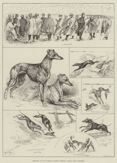 Esboços no Waterloo Coursing Meeting, Altcar, perto de Liverpool (gravura) de Louis Wain