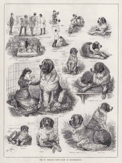 O Show do Clube de São Bernardo em Knightsbridge (gravação) de Louis Wain
