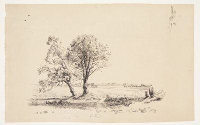 Paisagem com salgueiros por um riacho de Louise Ravn Hansen