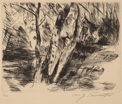 Bétulas no Tiergarten Bétulas no Tiergarten, 1920-1921. de Lovis Corinth