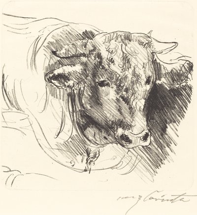 Stierkopf Head of a Steer, 1912. de Lovis Corinth