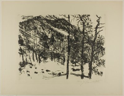 O Vale, desde o início da primavera nas montanhas de Lovis Corinth