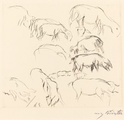 Vários estudos em animais de Lovis Corinth