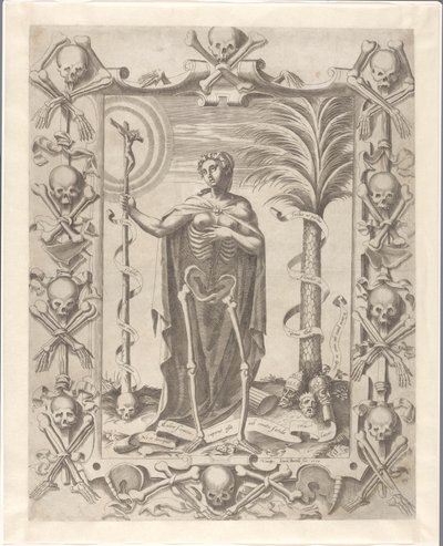 Vanitas de Luca Bertelli