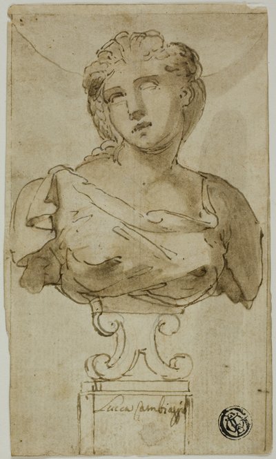 busto de mulher de Luca Cambiaso