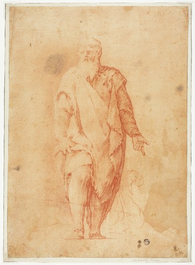 Homem barbudo de pé de Luca Giordano