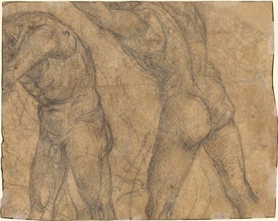 Duas Figuras Nuas [verso] de Luca Signorelli