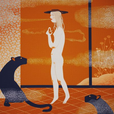 A Mulher Misteriosa e as Panteras de Luca di Napoli