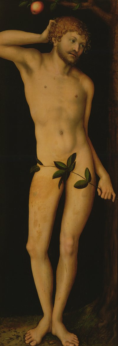 Adam, 1528 de Lucas Cranach the Elder