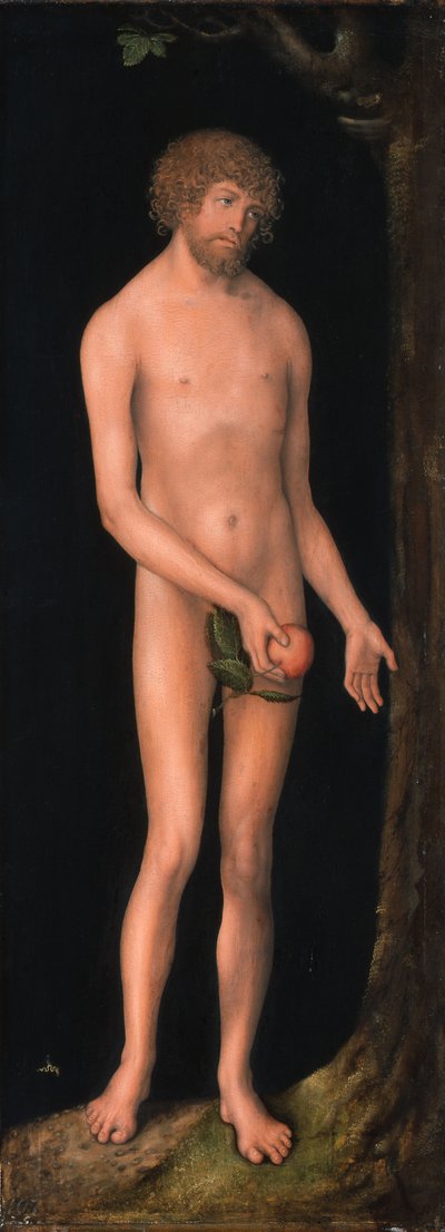 Alemão: Adam Adam de Lucas Cranach the Elder