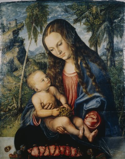 Madonna sob o pinheiro, c.1510 de Lucas Cranach the Elder