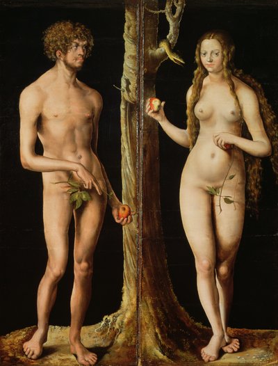 Adão e Eva, c.1508-10 (óleo e têmpera sobre cal) (ver também 159264) de Lucas the Elder Cranach