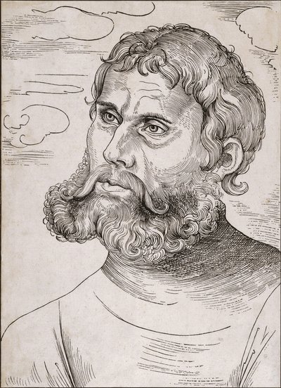Retrato de Martin Luther como 