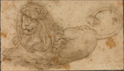 Estudo de um Leão de Lucas the Elder Cranach