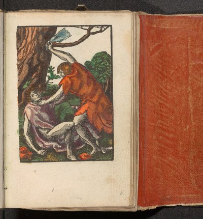 Caim mata Abel
Paixão Estúpida (título da série) de Lucas van Leyden (workshop of)