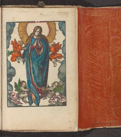 Maria como rainha do céu de pé na lua crescente
Paixão Estúpida (título da série) de Lucas van Leyden (workshop of)