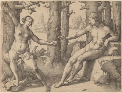A queda do homem de Lucas van Leyden