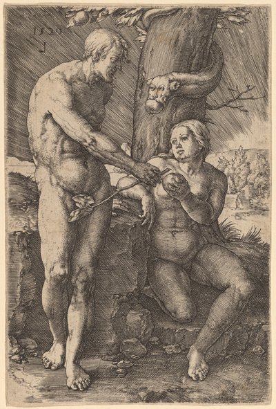 A queda do homem de Lucas van Leyden