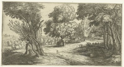 Paisagem florestal de Lucas van Uden