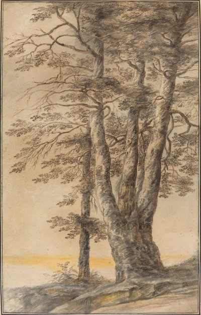 Estudo de Árvores de Lucas van Uden