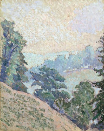 Brookleton Dale, Youlgrave, Derbyshire de Lucien Pissarro