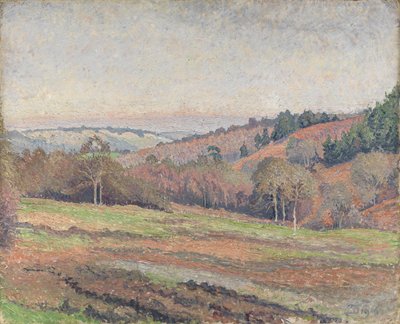 Old Mark&39;s Field, Coldharbour, Surrey de Lucien Pissarro