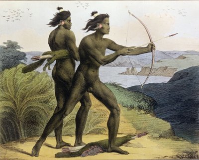 Caça na Baía de São Francisco, de "Quaint Travel Around the World", gravada por Jean Augustin Franquelin (1798-1839), publicada em 1822 de Ludwig Choris