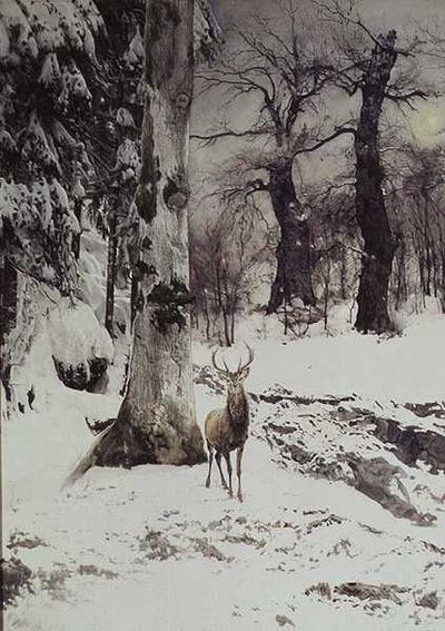 Um veado em um bosque nevado de Ludwig Fromme