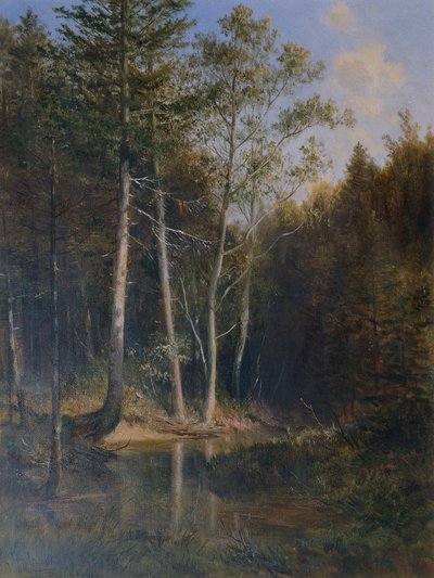 Área florestal na montanha da corte perto de Kaumberg de Ludwig Halauska