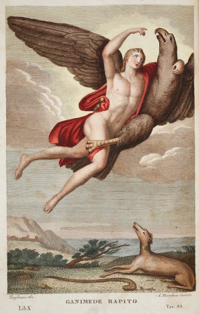 Ganimedes foi levado para o Céu ou Ganimedes Rapito, Livro X, ilustração de Metamorfoses de Ovídio, Florença, 1832 (gravura colorida à mão) de Luigi Ademollo