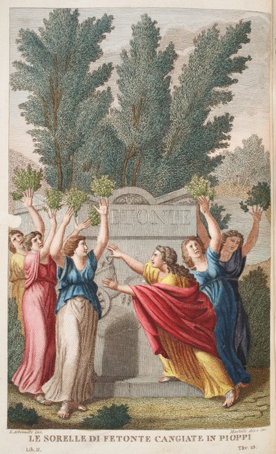 Heliades em árvores que produzem Amber ou Le Sorrelle die Fetonte Cangiate em Pioppi, ilustração de Metamorfoses de Ovídio, Florença, 1832 (gravura colorida à mão) de Luigi Ademollo