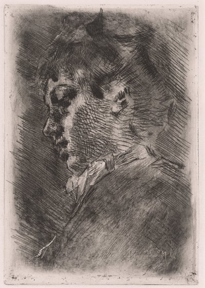 Retrato de uma jovem de perfil de Luigi Conconi