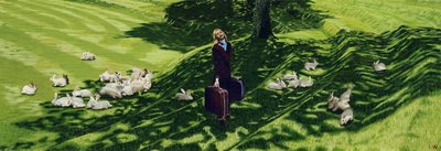 Up and Down on Dreamland