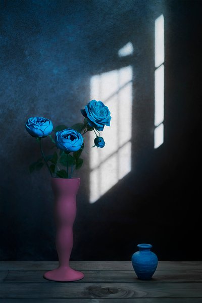 Luz de janela com rosas azuis de Lydia Jacobs