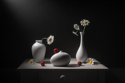 Margaridas, vasos e cerejas de Lydia Jacobs
