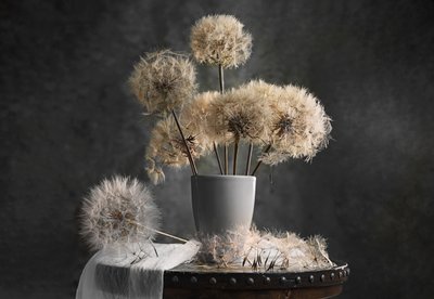  de Lydia Jacobs