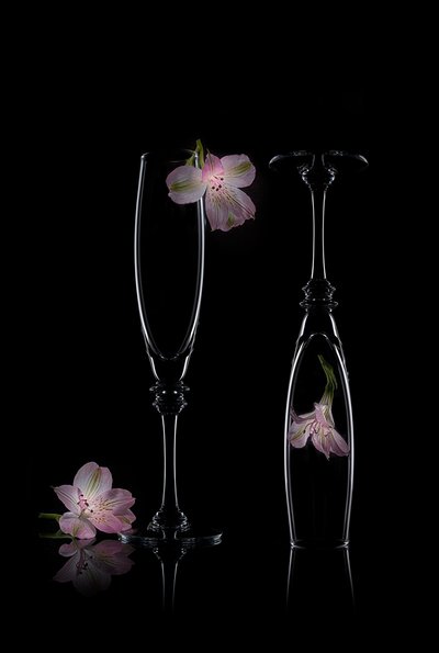 Delicada elegância floral de Lydia Jacobs