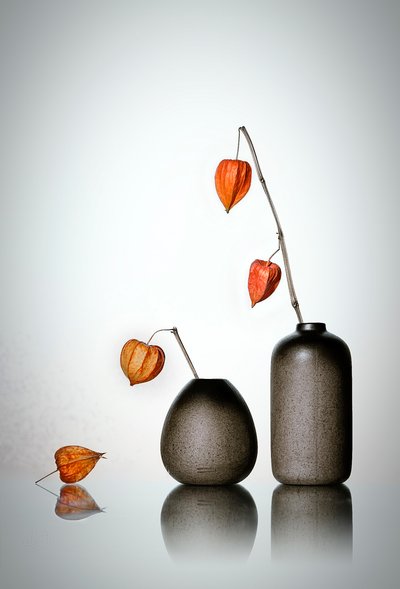 Elegantes lanternas de outono de Lydia Jacobs