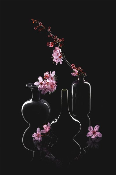 Elegantes jarras de flores de Lydia Jacobs