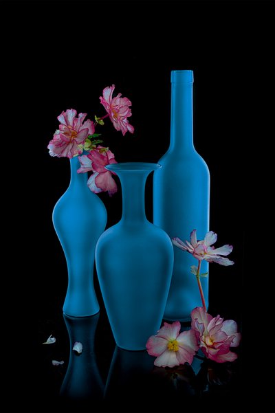 Elegante natureza-morta azul de Lydia Jacobs