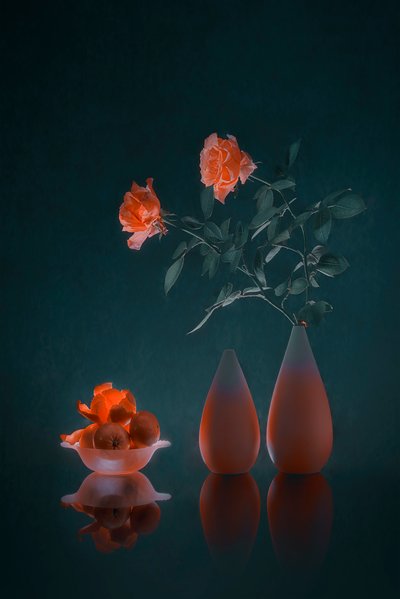 Elegante motivo floral escuro de Lydia Jacobs