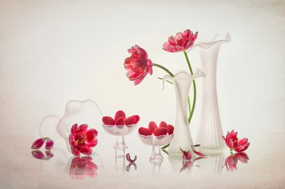 Elegante natureza-morta floral de Lydia Jacobs